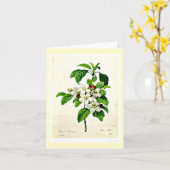 Notecard-Botanicals-Pierre Joseph Redoute 9 Kaart (Gele Bloem)