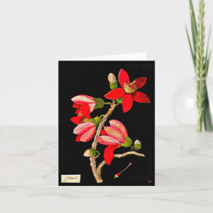 Notecard-botanische kunst-Mary Delany 17 Kaart