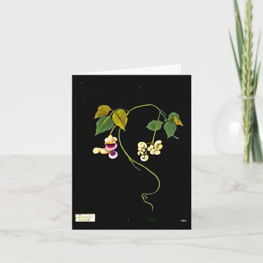 Notecard-botanische kunst-Mary Delany 5 Kaart (Voorkant)