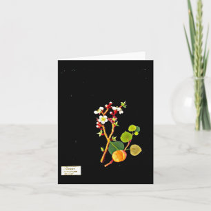 Notecard-botanische kunst-Mary Delany 9 Kaart