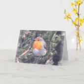 Notecard: Britse Robin Kaart (Gele Bloem)