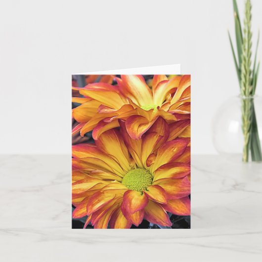 Notecard - Chrysanthemums Kaart (Voorkant)