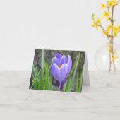 Notecard - Crocus Kaart (Gele Bloem)