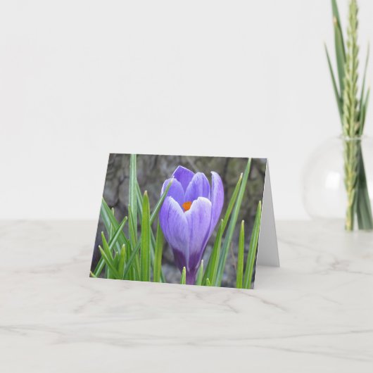 Notecard - Crocus Kaart (Voorkant)