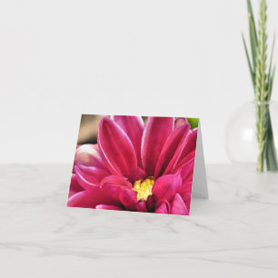 Notecard - Dahlia closeup Kaart