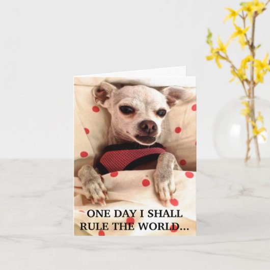 NOTECARD-ÉÉN DAG ZAL IK DE WERELD BESLISSEN KAART (Gele Bloem)