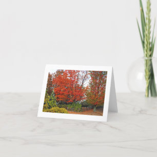 NOTECARD, FELRODE BOOM EN BLADEREN OP DE GROND KAART