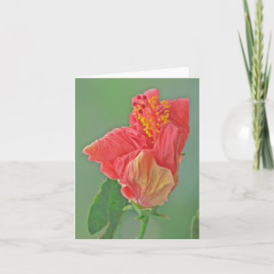 NOTECARD, FLORAL, RED HIBISCUS/TEXTURE KAART