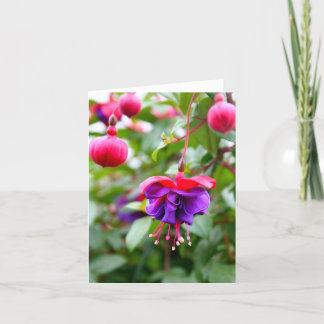 Notecard Fuschia Kaart