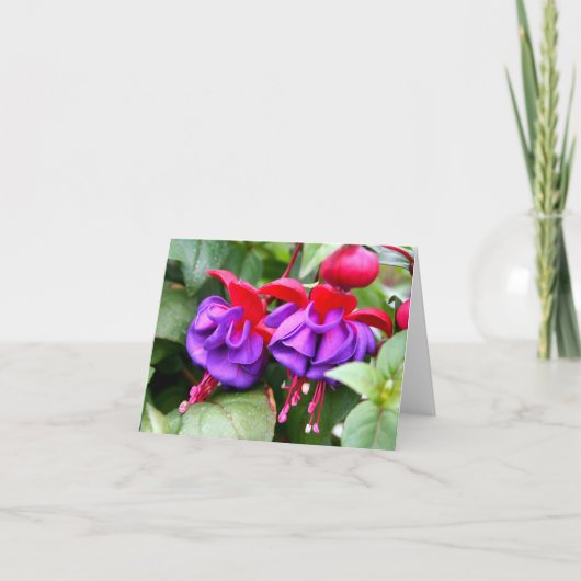 Notecard Fuschia Kaart (Voorkant)