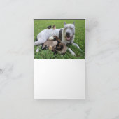 NOTECARD - HET IS LEUK OM TE WENSEN DAT JE HUISDIE KAART (Binnen)