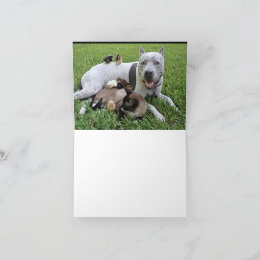 NOTECARD - HET IS LEUK OM TE WENSEN DAT JE HUISDIE KAART (Binnen)