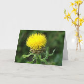 notecard, humor "Hoe ben je" Kaart (Gele Bloem)