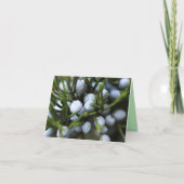 Notecard met Juniper Berries Kaart (Voorkant)