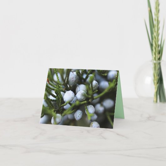 Notecard met Juniper Berries Kaart (Voorkant)