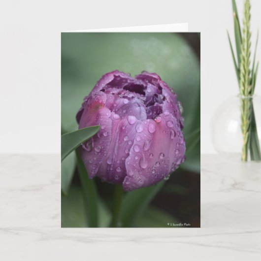 Notecard met paarse tulp kaart (Voorkant)