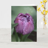 Notecard met paarse tulp kaart (Gele Bloem)