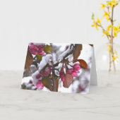 Notecard met Sneeuw op de Bloesem van Apple van de Kaart (Gele Bloem)
