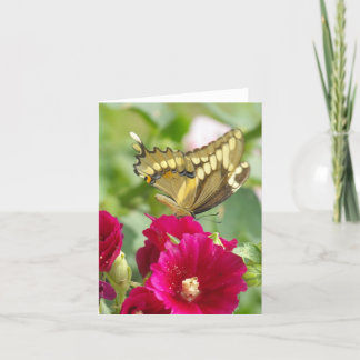 Notecard met Swallowtail Butterfly Kaart