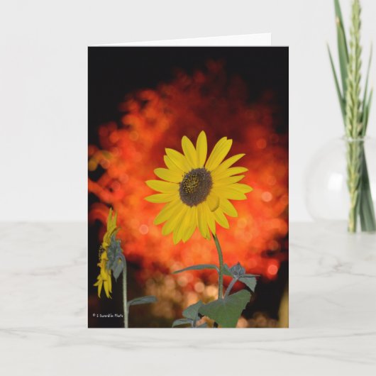 Notecard met Zonnebloem Kaart (Voorkant)