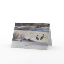 Notecard of Sandhill Cranes, Steamboat Springs, Co