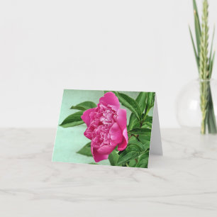 Notecard - Peony Kaart