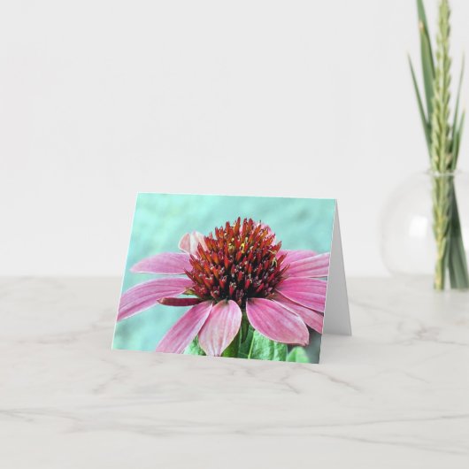 Notecard - Roze Coneflower Kaart (Voorkant)