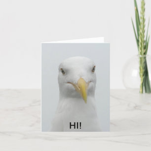 Notecard - Seagull zegt: "Hoi!" Kaart