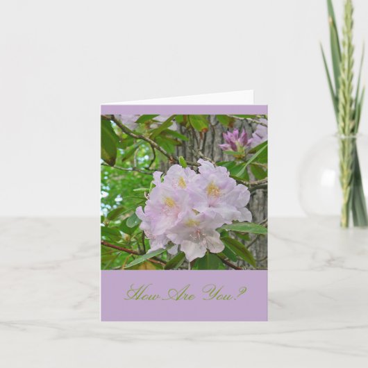 NOTECARD, "ZACHTE BLEKE LAVENDEL RHODODENDRON" KAART (Voorkant)