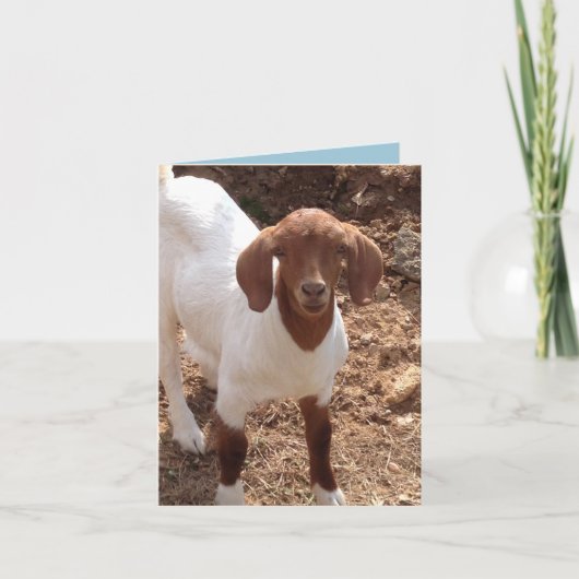 Notecards van de pret kaart (Voorkant)