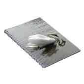 Noteer de witte zwanen uit het boek, die in het gr notitieboek (Rechterzijde)