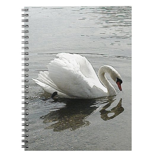 Noteer de witte zwanen uit het boek, die in het gr notitieboek (Voorkant)