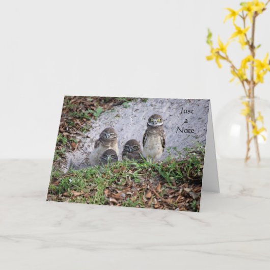 Noteer Kaart met Baby Burrowing Ownership (Gele Bloem)