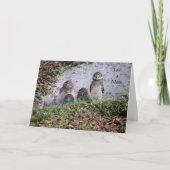 Noteer Kaart met Baby Burrowing Ownership (Voorkant)