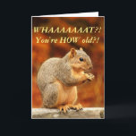 Noten! Grappige verjaardag Kaart<br><div class="desc">Knoeien met je vrienden / familie met deze schattige eekhoorn verjaardagskaart!</div>