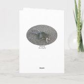 Noten over je eekhoornkaart feestdagen kaart (Achterkant)