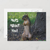 NOTEN OVER JULLIE! BRIEFKAART (Voorkant / Achterkant)