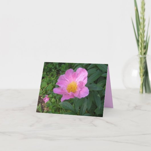 Notenkaart met Single Pink Peony Kaart (Voorkant)