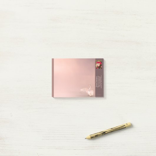 Notes — Connect, Swan (Op bureau)