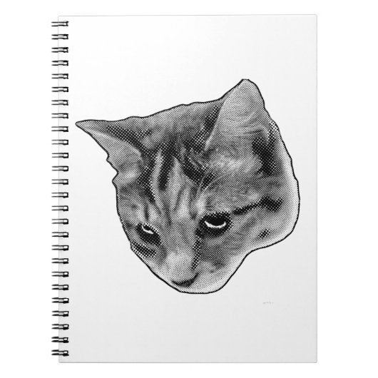 Notes Under Watchful Eyes Notitieboek (Voorkant)