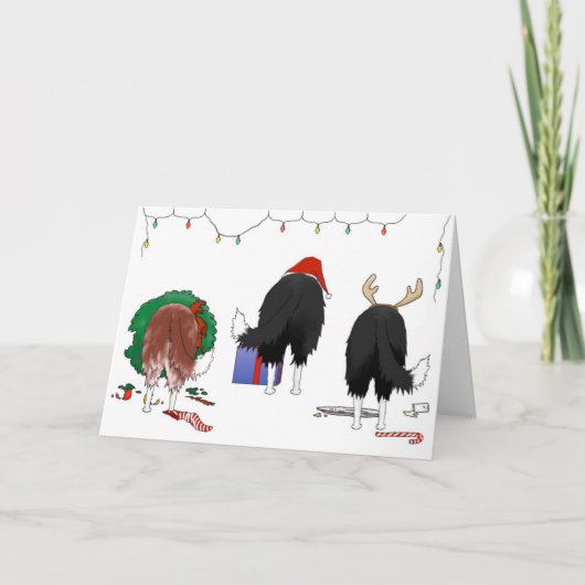 Nothin' Butt a Border Collie Kerstmis Feestdagen Kaart (Voorkant)