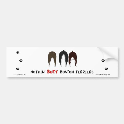 Nothin' Butt Boston Terriers Bumpersticker (Voorkant)