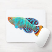 Nothobranchius Rachovii Killifish Mousepad Muismat (Met muis)