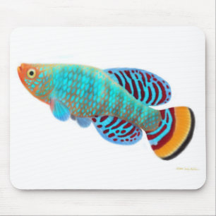 Nothobranchius Rachovii Killifish Mousepad Muismat