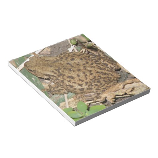 Notitieblok Europese Gewone Pad (Schuin)