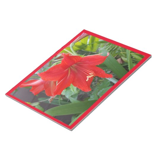 Notitieblok met grote felrode bloem (Schuin)