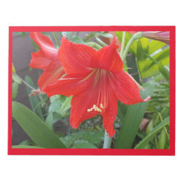 Notitieblok met grote felrode bloem