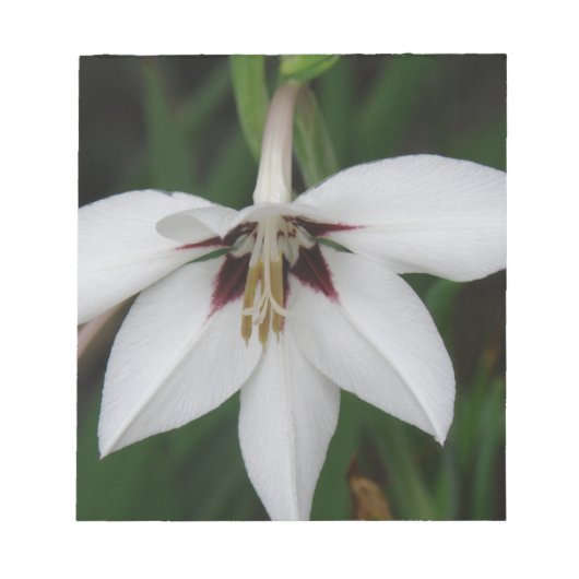 Notitieblok Orchid Flowers (Voorkant)