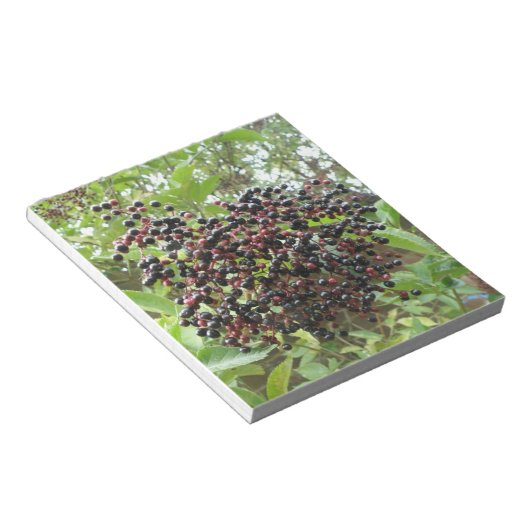 Notitieblok rijpende derbessen (Schuin)