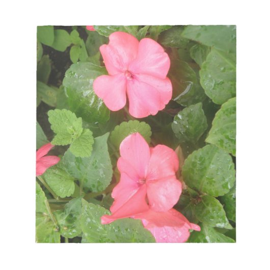 Notitieblok Roze Impatiens Flowers (Voorkant)